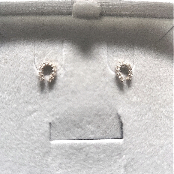 Horseshoe Earrings - Picture 5 of 5